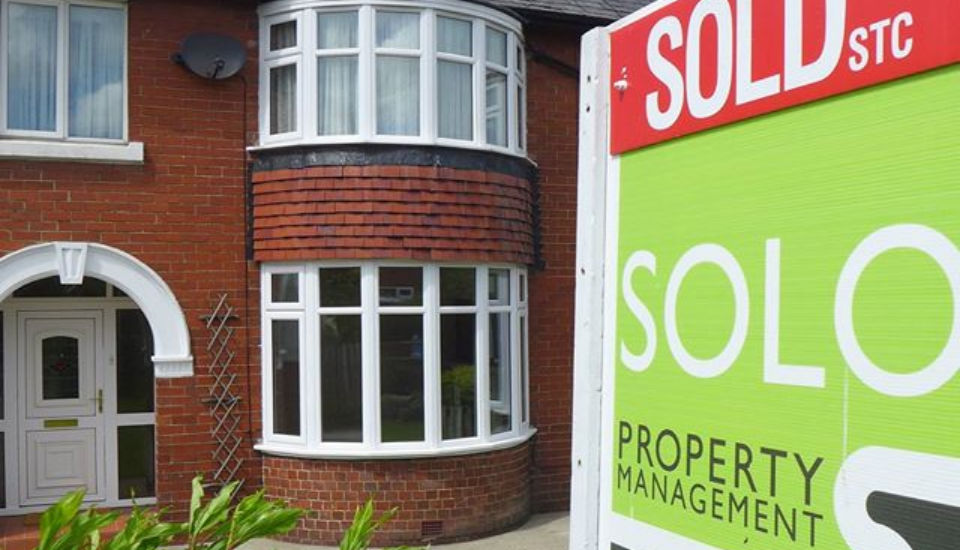 Solo Estate Agents